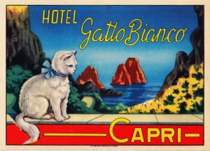 hotel-gatto-bianco-capri