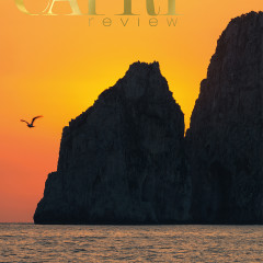Capri review | 41